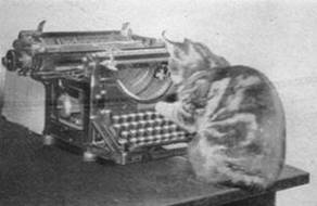 1949 Cat on Typewriter MBM-Sp49P40.jpg