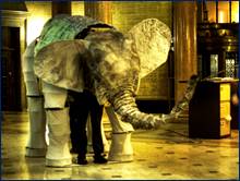 Martins Elephant Ad Retouched.jpg