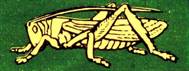 Grasshopper Pensioners Club.jpg