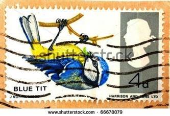 Blue tit stamp 1960s