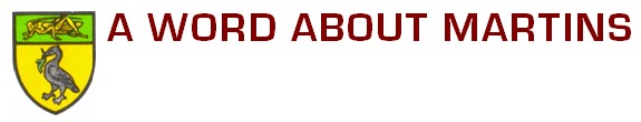A word about Martins.jpg