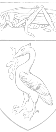 New Picture (2).png