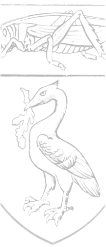New Picture (2).png