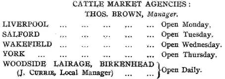 Cattle Markets